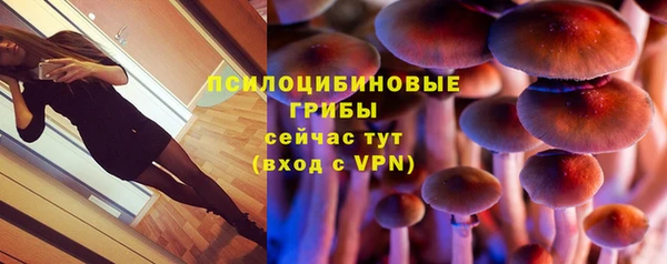 эйфоретик Армянск