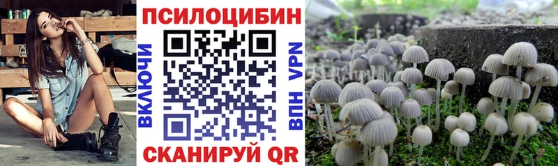 продажа наркотиков Рассказово ссылка на мегу зеркало Галлюциногенные грибы MAGIC MUSHROOMS